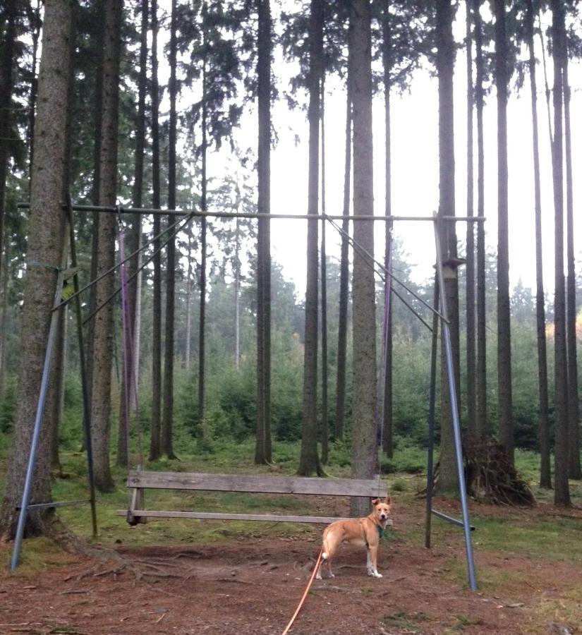 Villa Hundeurlaub Im Tiny House Im Wald Tanna Esterno foto