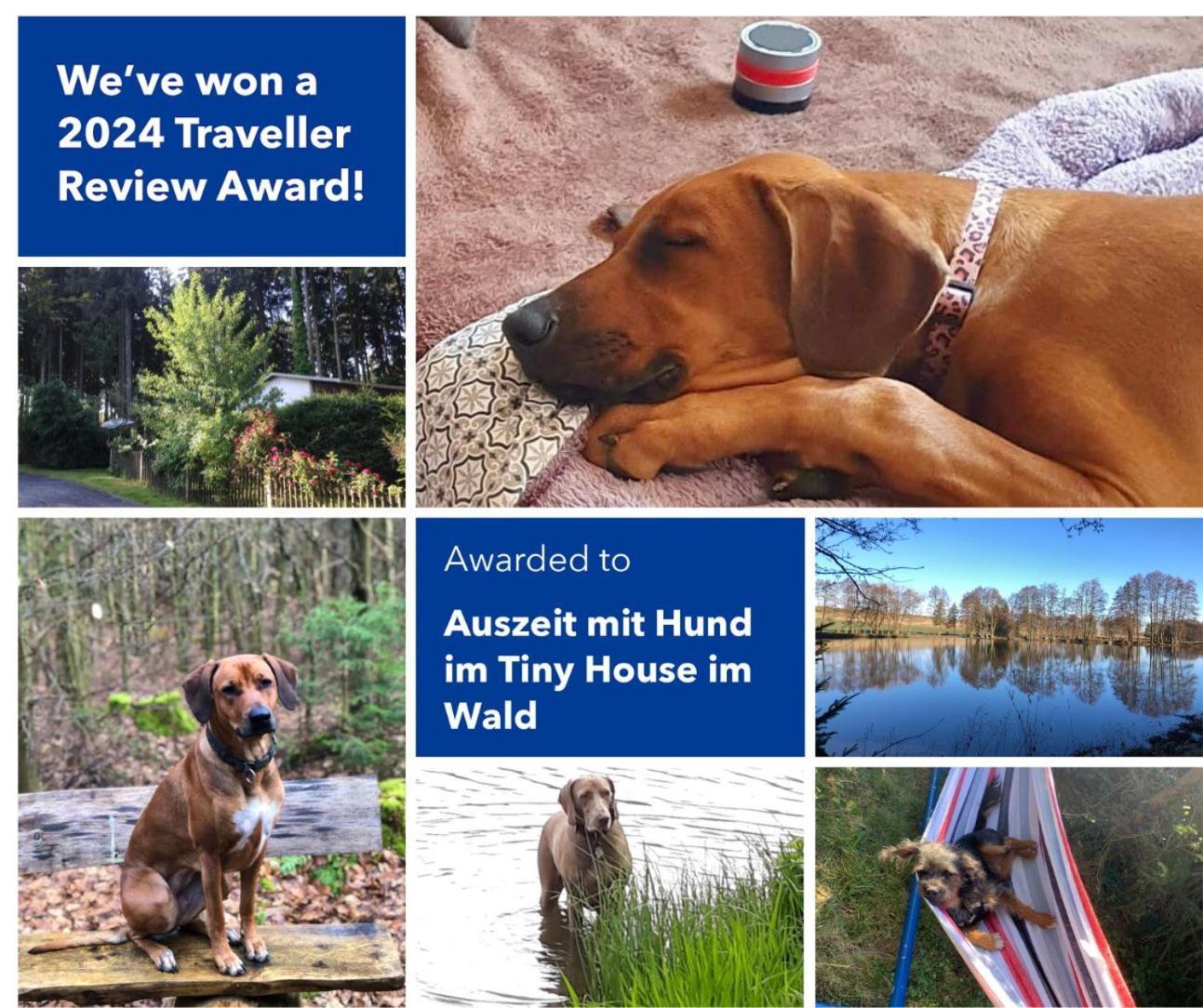 Villa Hundeurlaub Im Tiny House Im Wald Tanna Esterno foto
