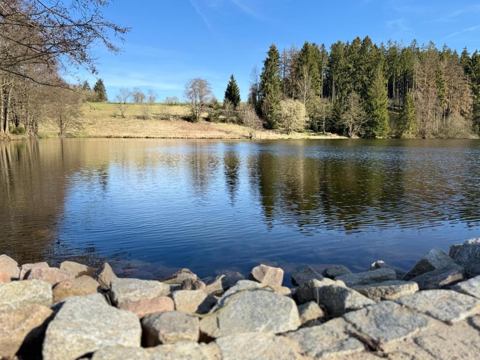 Villa Hundeurlaub Im Tiny House Im Wald Tanna Esterno foto